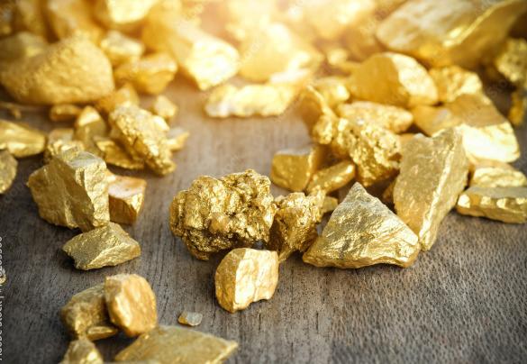 WhatsApp Image 2025-11-26 at 16.48.20